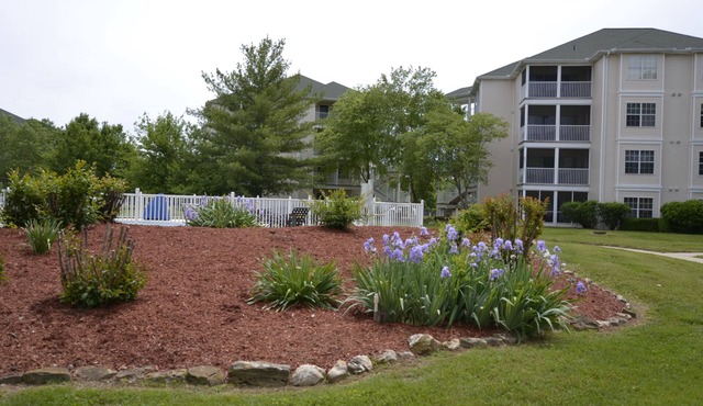 Relaxing Resort Condo for 6 guests, In The Heart of Beautiful Branson!