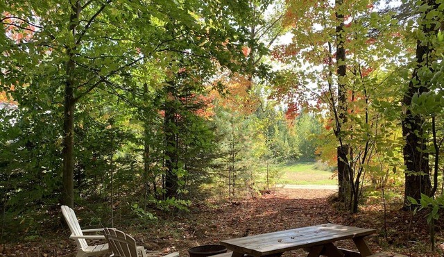 Rustic forest hut (taxiway station)