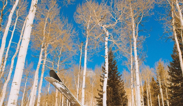 Skier's dream price drop 1 mile to Cranmore. Heated pool/Jacuzzi minutes away