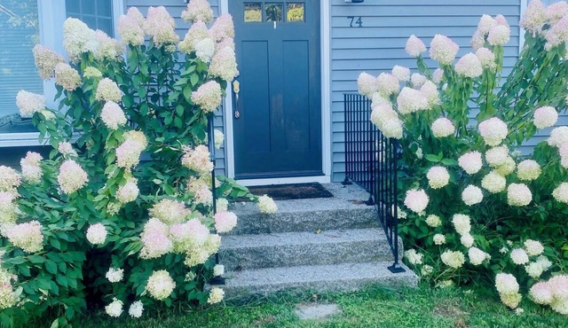 Spacious Charming Kennebunk Home