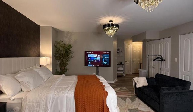 Stylish Modern Basement Suite W Private Entrance