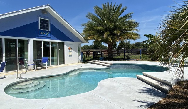 SWIM , SWIM , SWIM - Cottage w/Private Pool on Horse Farm, Close to Ocala WEC