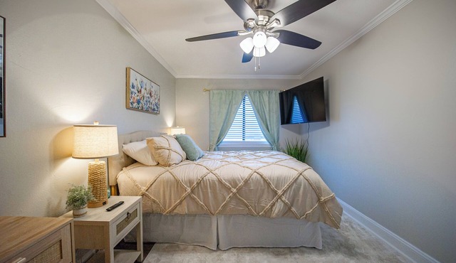 Tallahassee Gem-Next to Doak and CollegeTown-Ideal for FSU weekend.3 minute walk