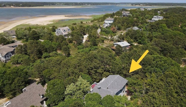 The Ultimate Cape Cod Escape for Families, Friends & Pets