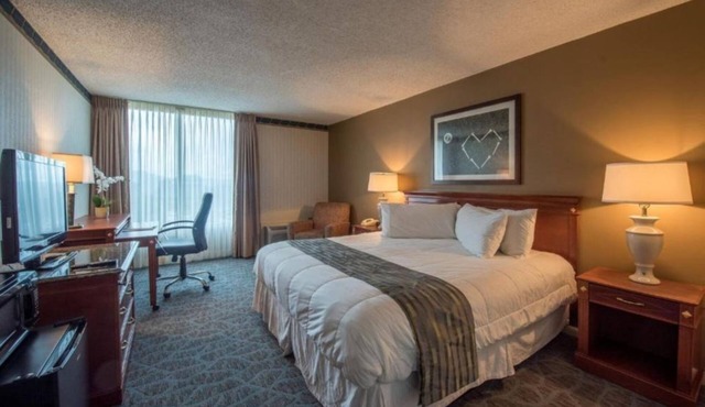 Tranquil Studio at Lakeview Golf Resort Hotel w BBQ