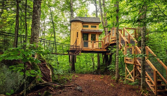 Treehouse between two trees, suspension bridge and deck | Lodging #13