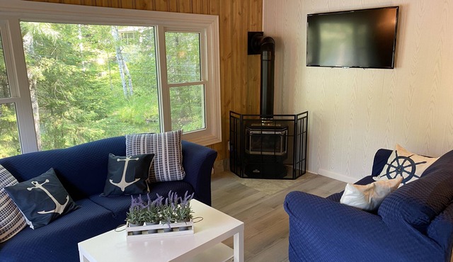 Updated Riverfront Cottage with Lake Access & StarLink, for Recreationalists!