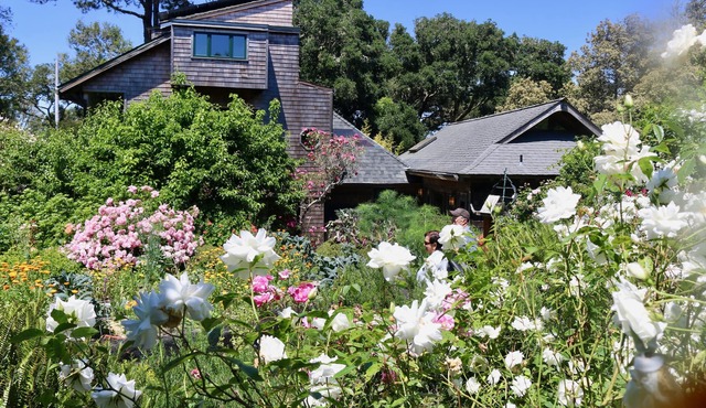 Van der Ryn Eco-Refuge: Architecture in Nature
