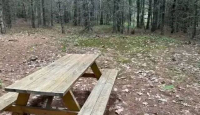 Watersrock Woods Camp Site 2