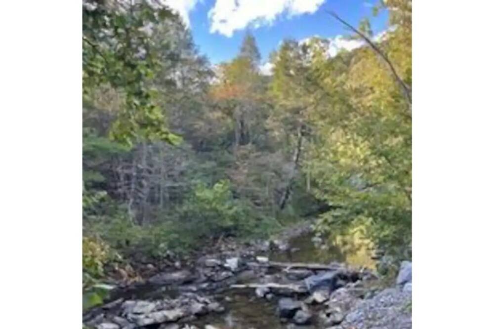Photo of Outdoor in Woodstock