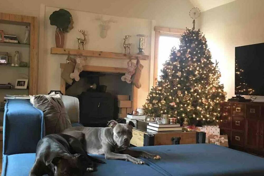 Photo of Livingroom in Edinburg