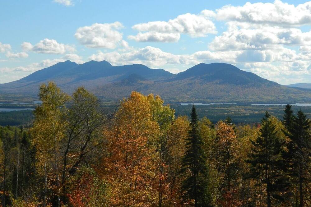 Photo of Others in Stratton