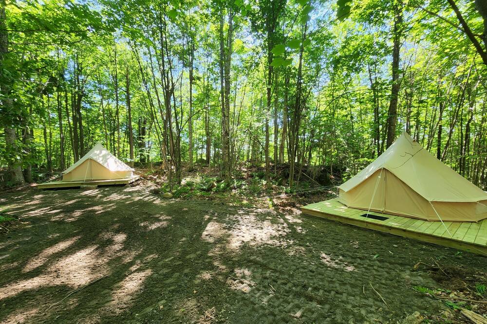 Photo of Outdoor in Errol