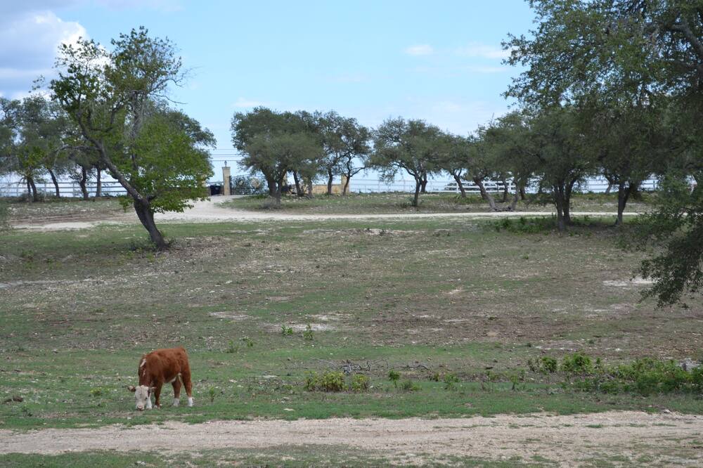 Photo of Outdoor in Kerrville