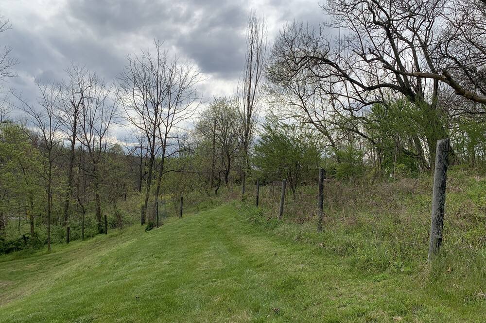 Photo of Outdoor in Markham