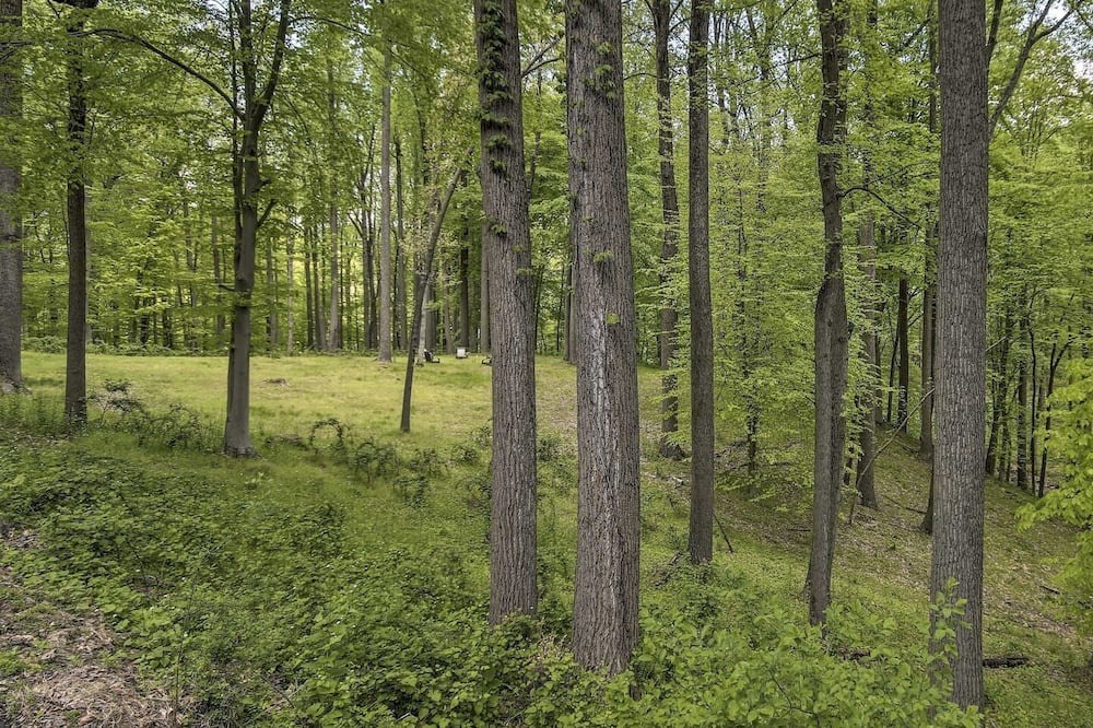 Photo of Others in Long Green