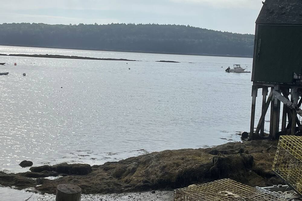 Photo of Outdoor in Sebascodegan Island