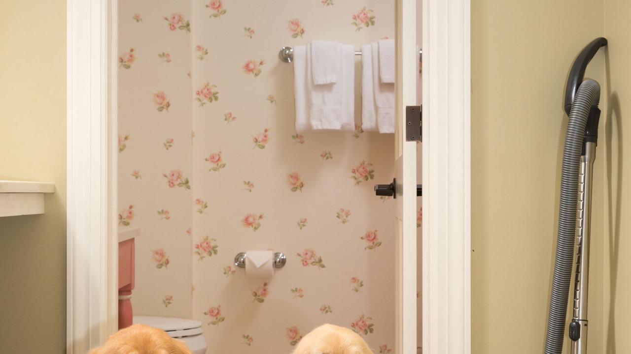 Photo of Bathroom in Laconia