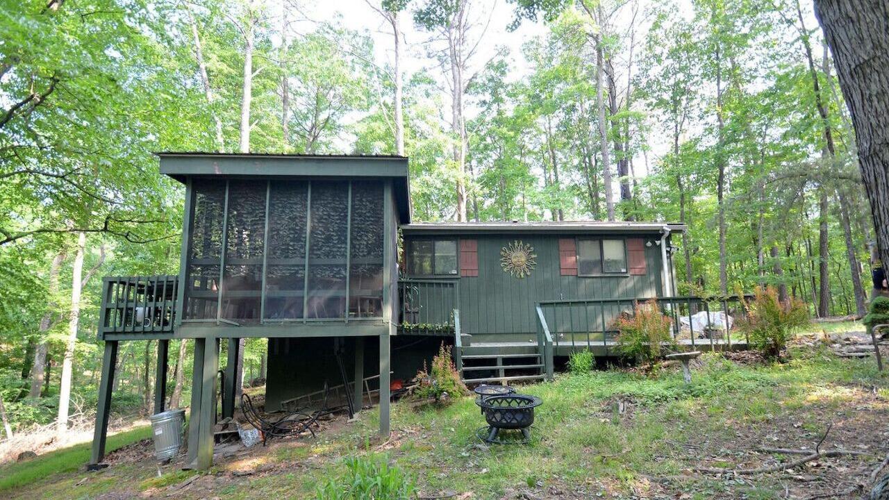 Photo of Outdoor in The Woods