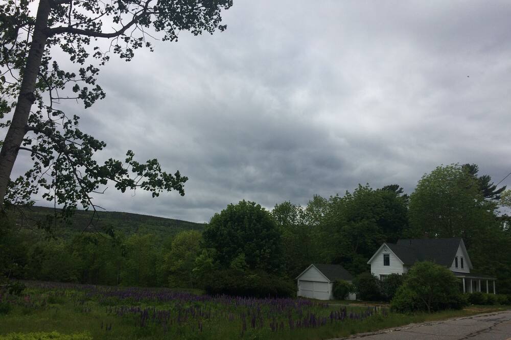 Photo of Outdoor in Bar Harbor