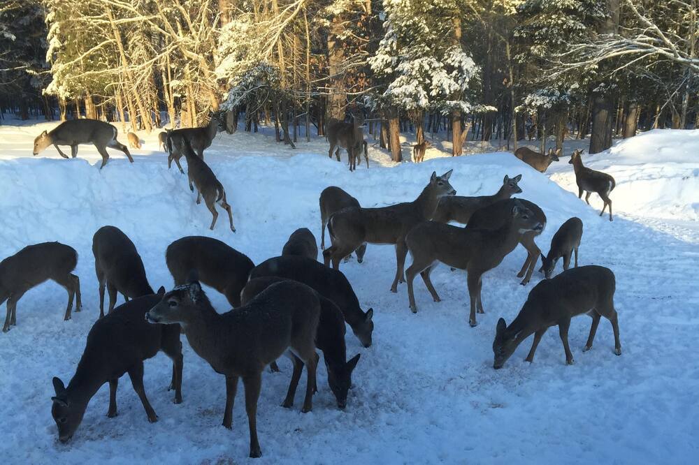 Photo of Others in Brownville