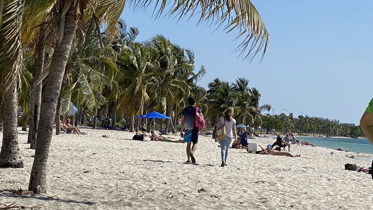 Photo of Others in Coconut Grove