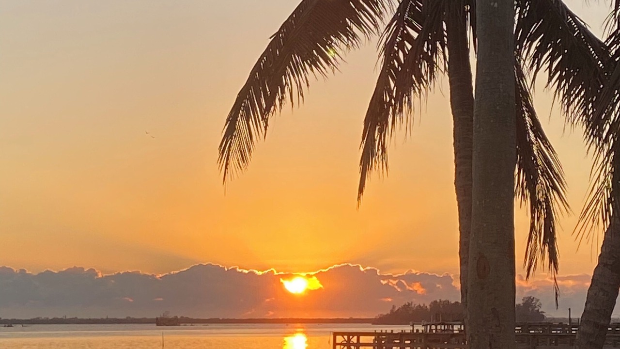 Photo of Others in Sebastian