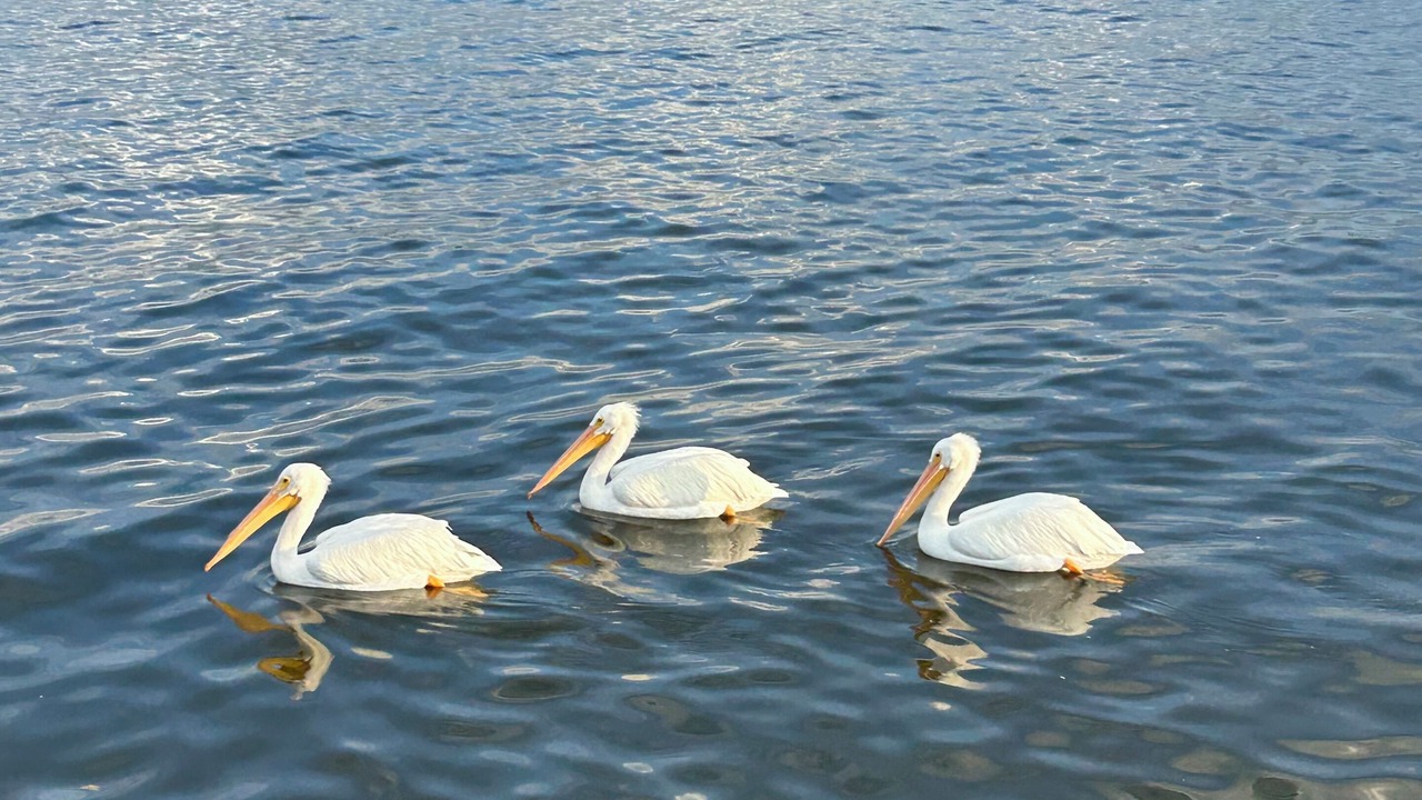 Photo of Others in Sebastian
