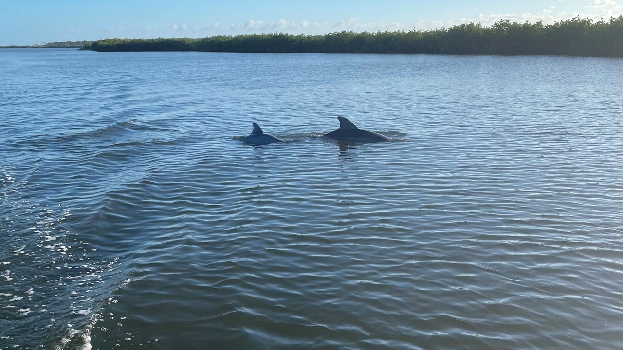 Photo of Others in Water Front Park