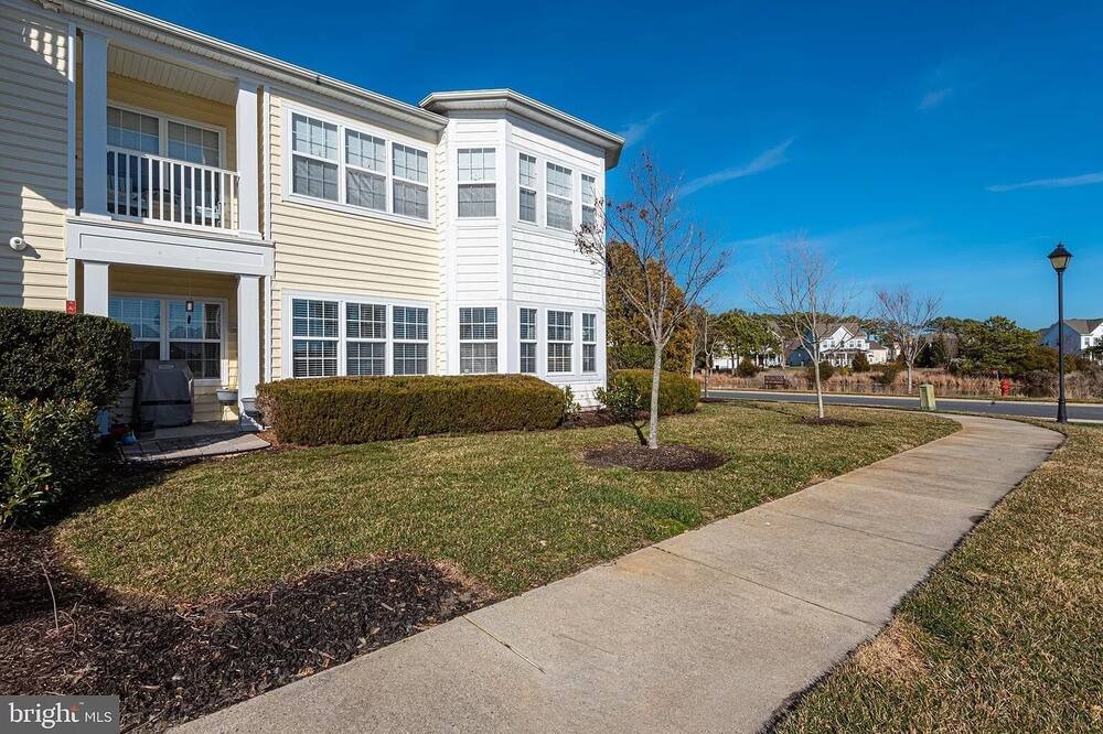Photo of Outdoor in Bayside