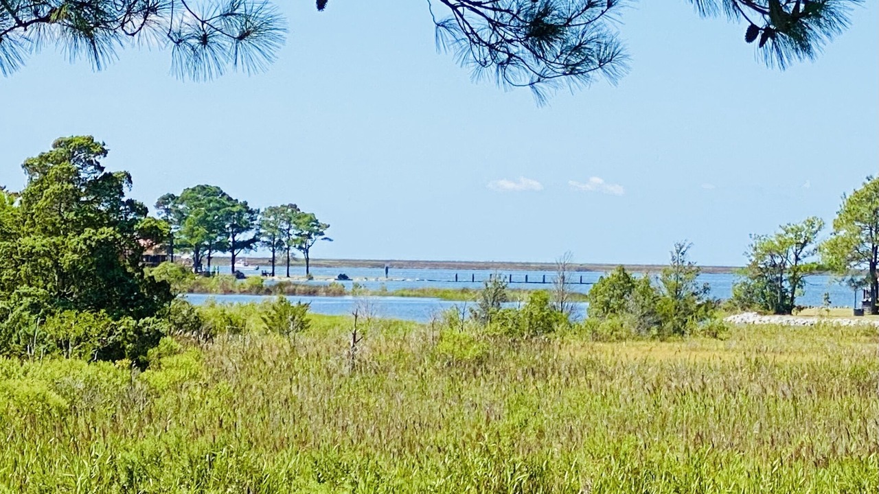 Photo of Others in Crisfield