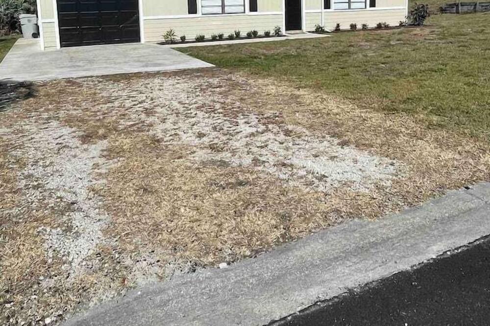 Photo of Others in Florida Ridge