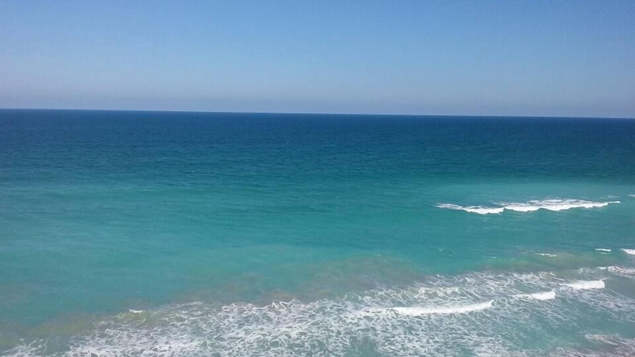 Photo of Others in Hutchinson Island South