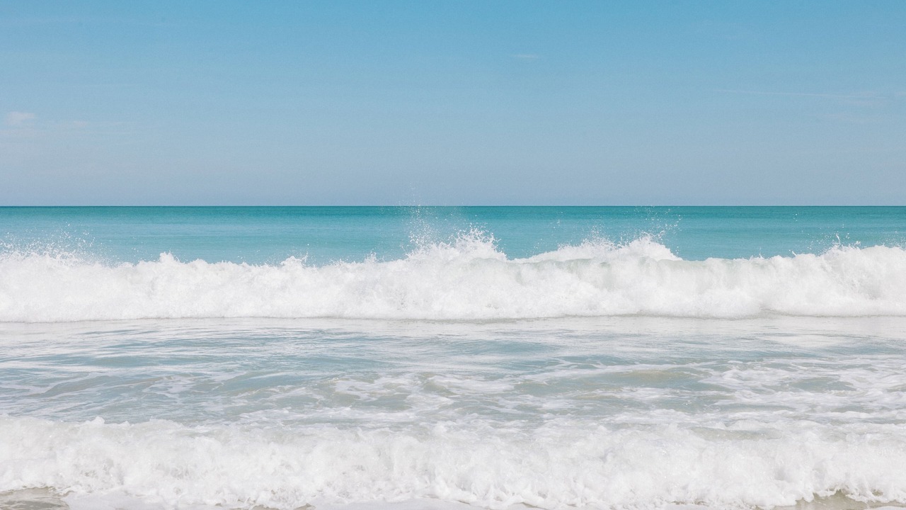Photo of Others in Hutchinson Island South