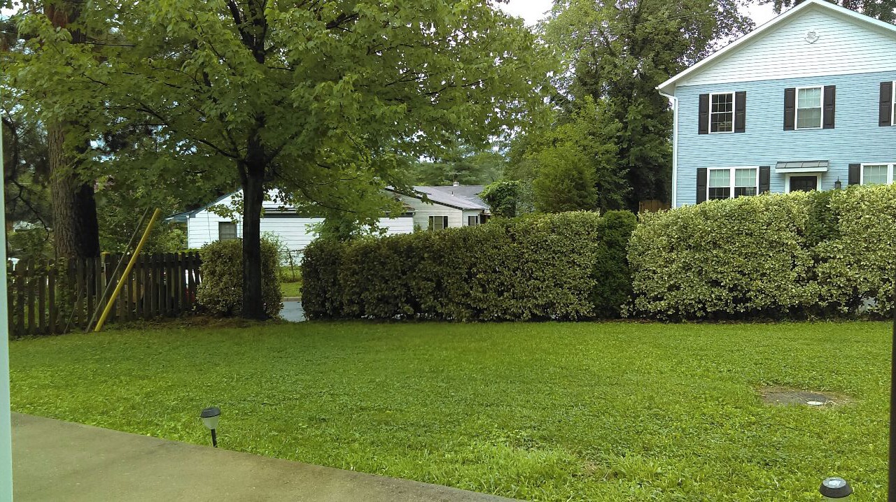 Photo of Outdoor in West Falls Church