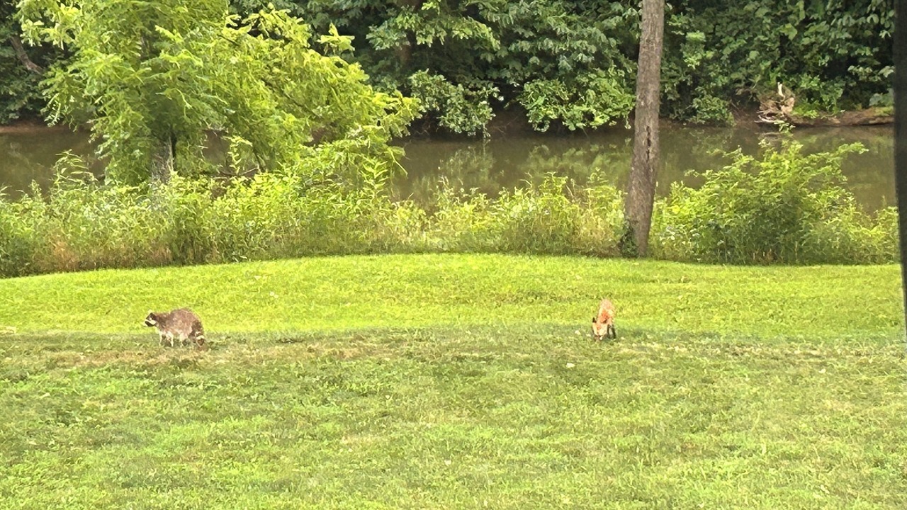 Photo of Others in Ridgeway