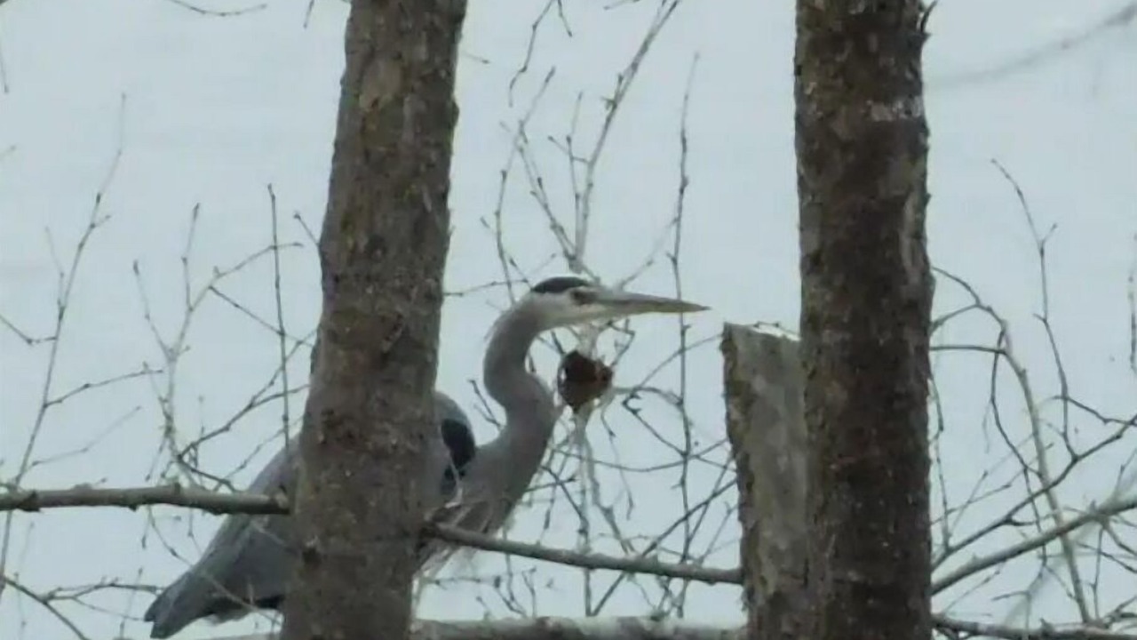 Photo of Others in Livingston