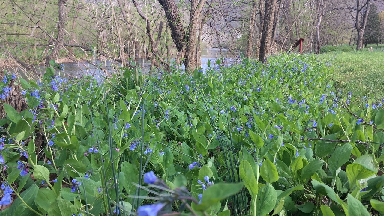 Photo of Others in Toms Brook