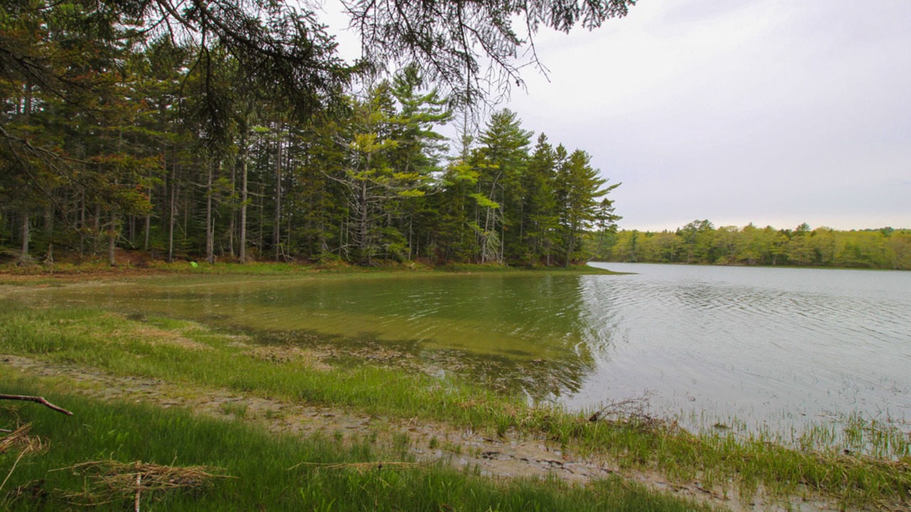 Photo of Others in Waldoboro