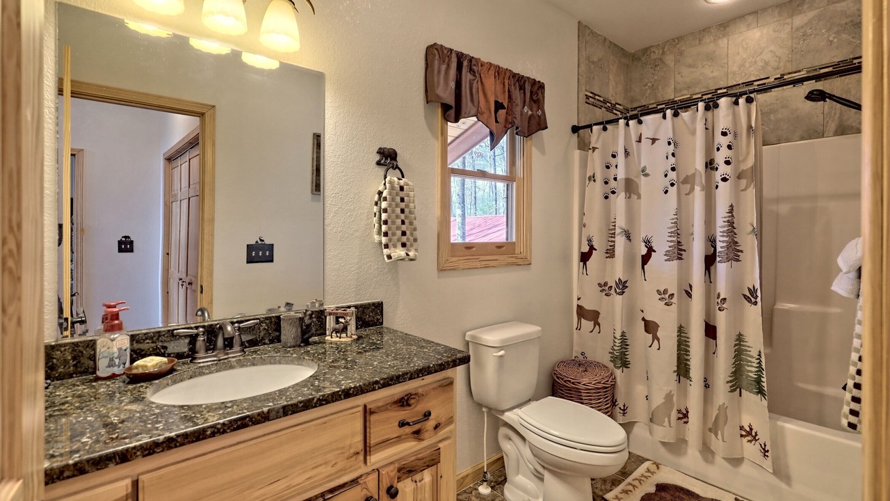 Photo of Bathroom in Brasstown
