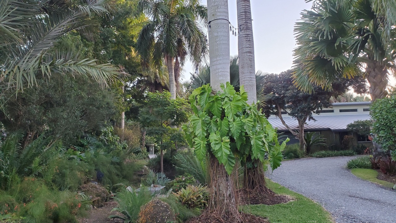 Photo of Outdoor in Palmetto Bay
