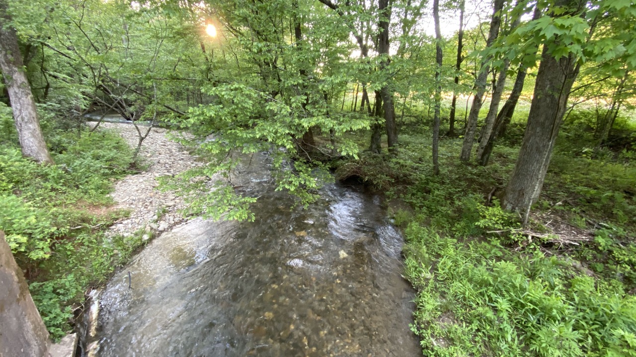 Photo of Outdoor in Helen