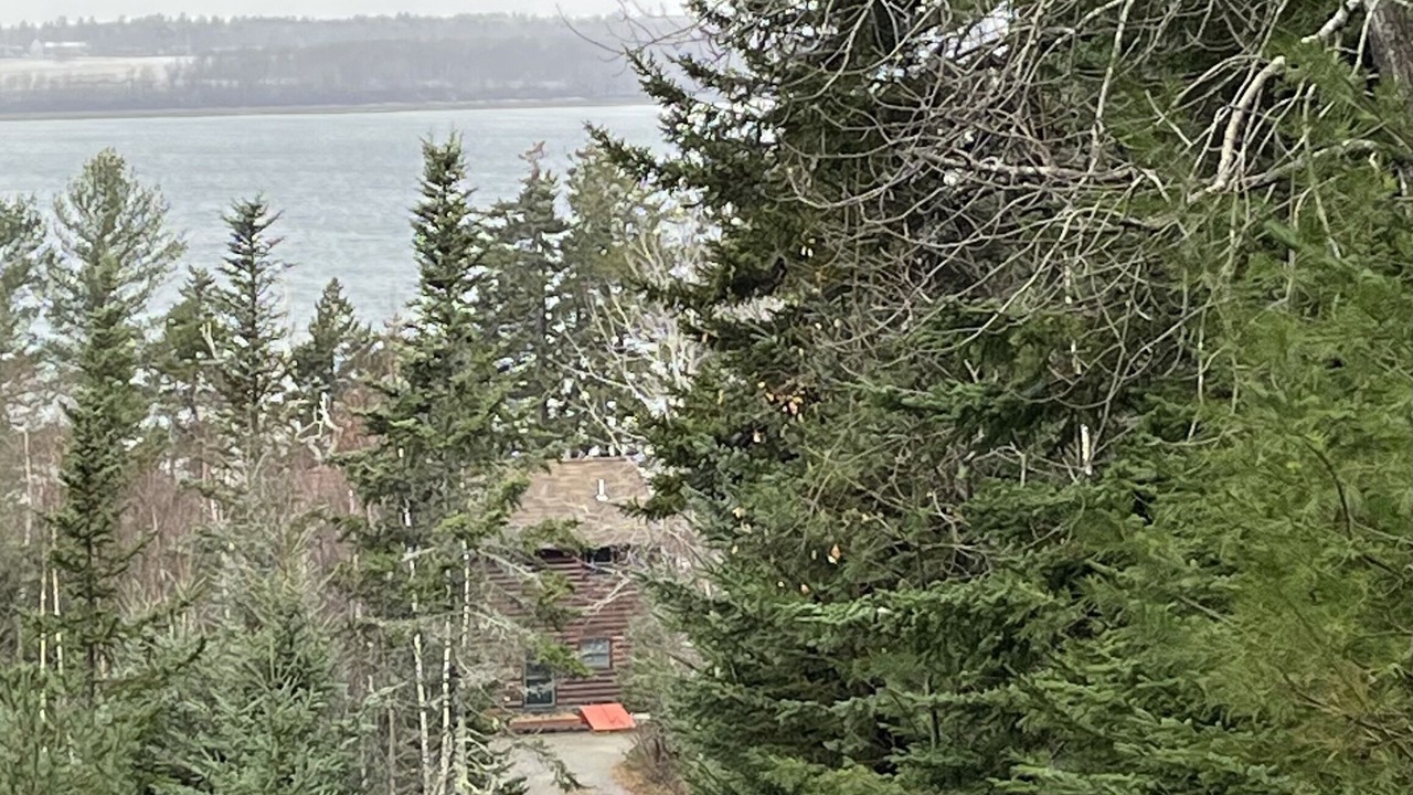 Photo of Others in Bar Harbor