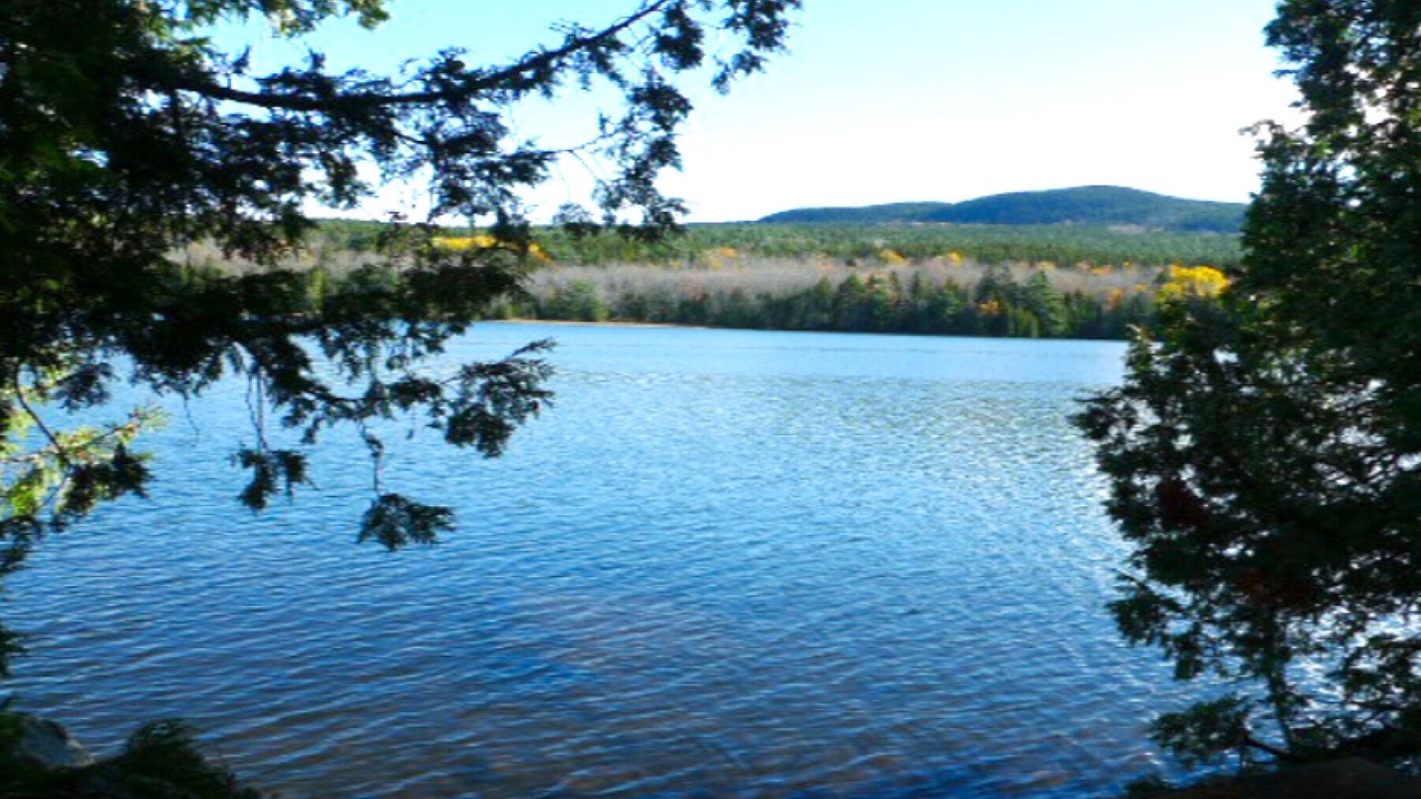 Photo of Outdoor in Seal Cove