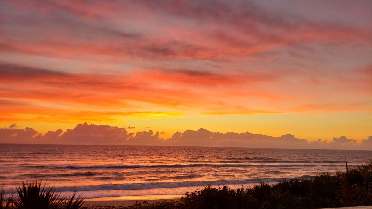 Photo of Others in Melbourne Beach