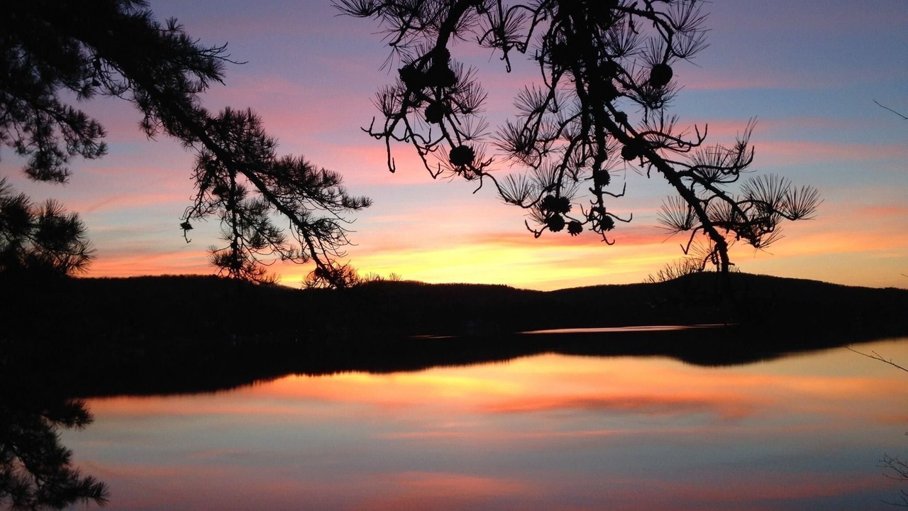 Photo of Others in Shapleigh