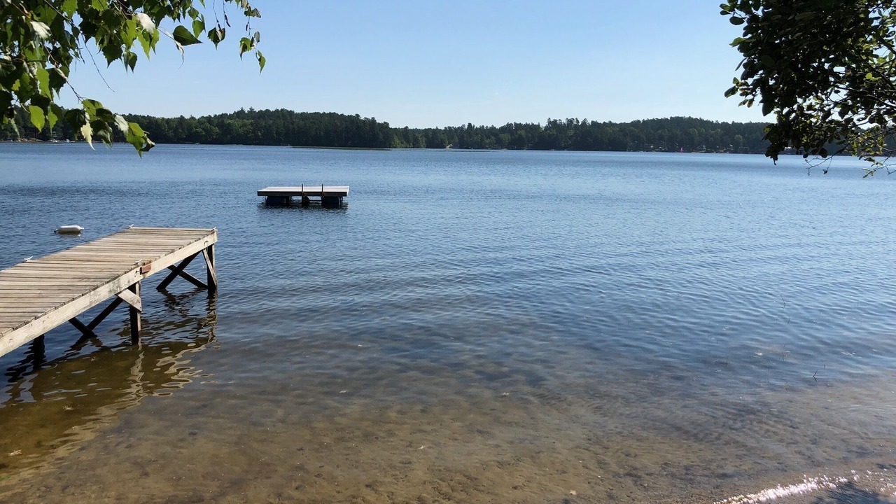 Photo of Others in Shapleigh