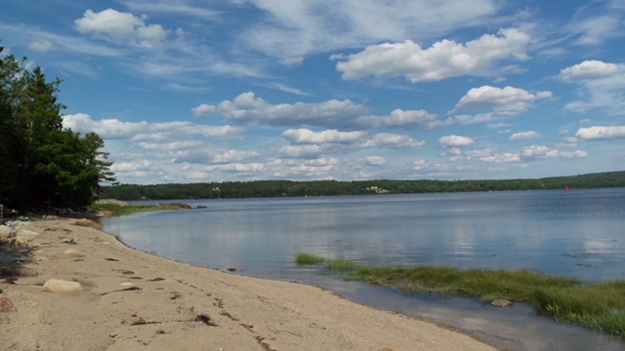 Photo of Others in Sandy Point