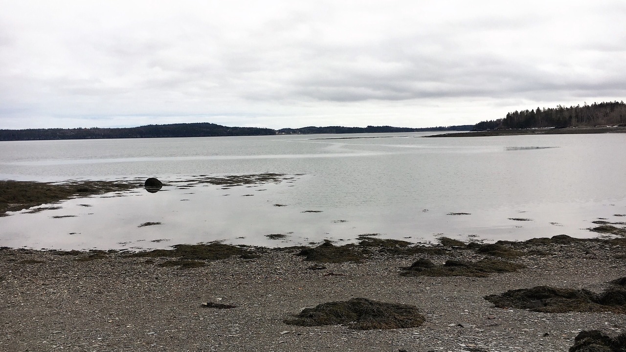 Photo of Others in Eastport