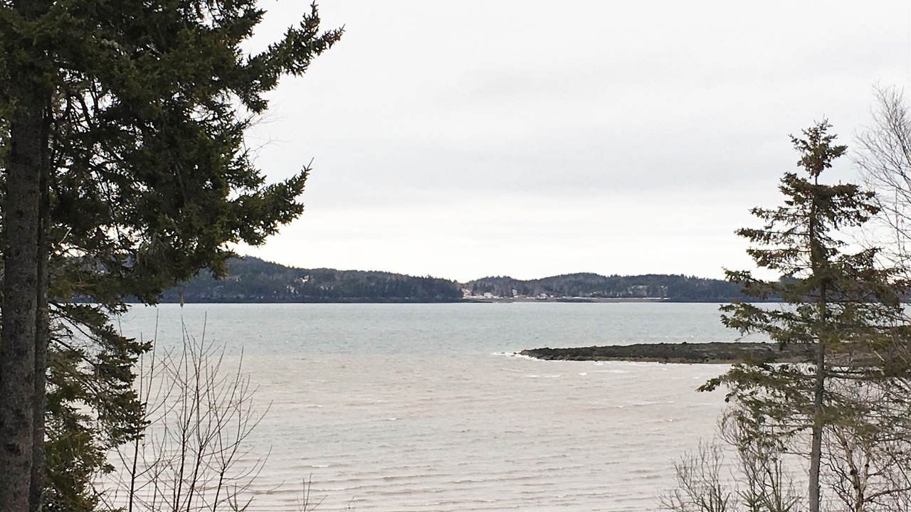 Photo of Others in Eastport